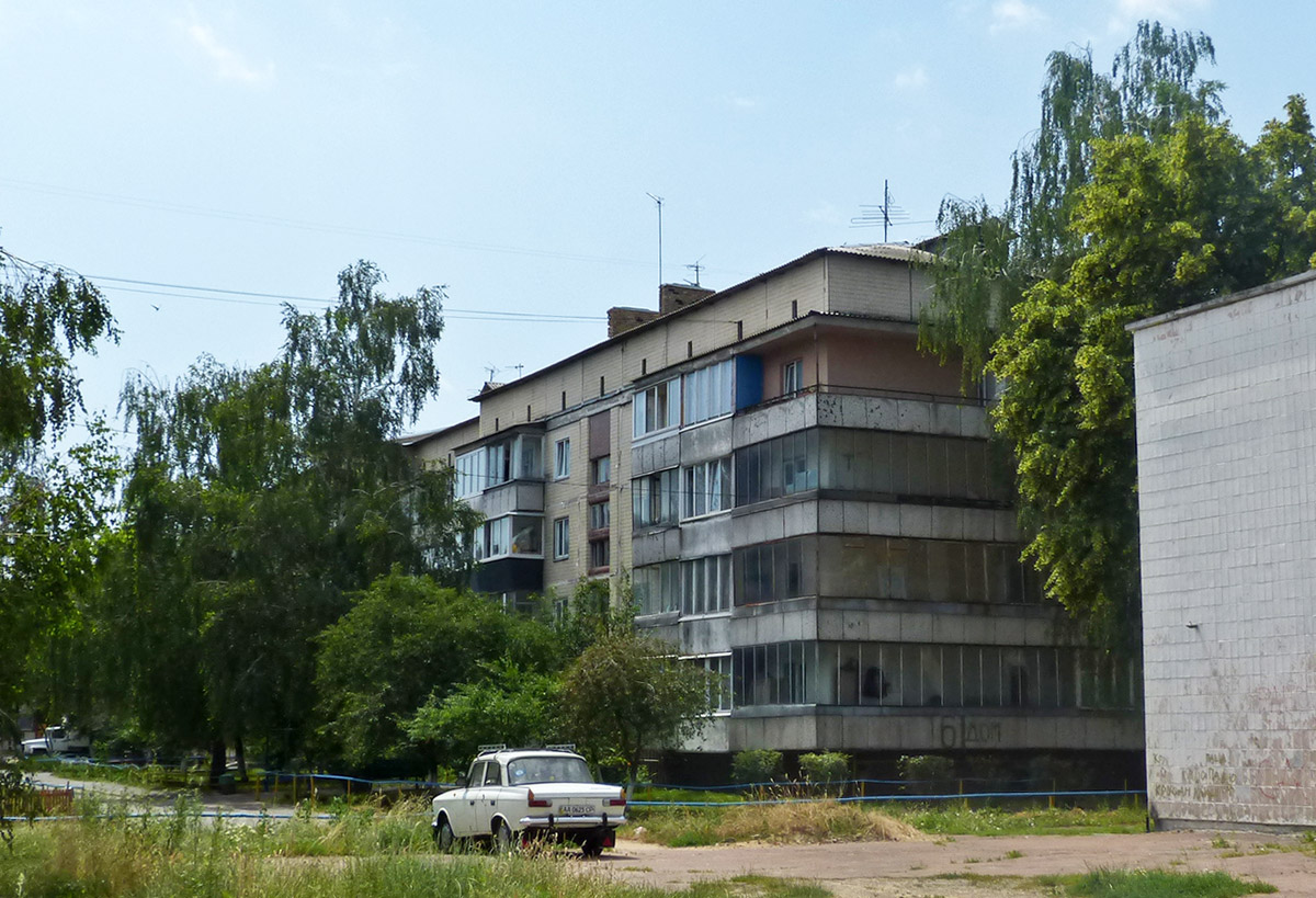 Киево-Святошинский район, прочие н.п., с. Софиевская Борщаговка, Соборная улица, 61