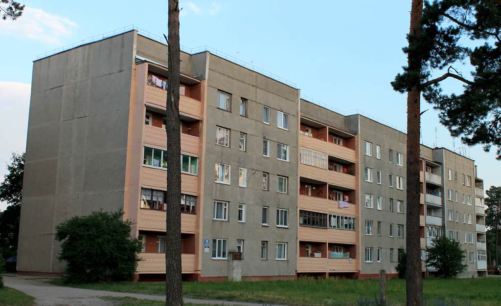Новоельня, Дятловская улица, 15