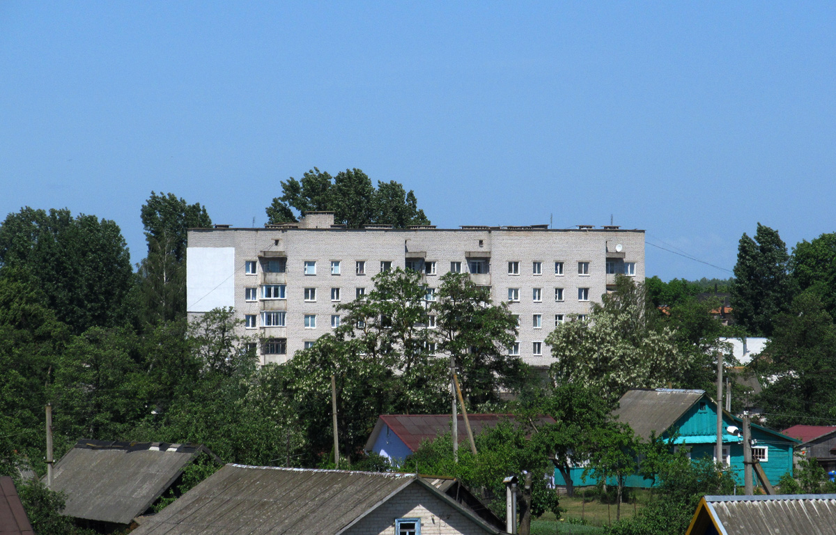 Nesvizh District, other localities, Рудавка, улица Лазаря, 6