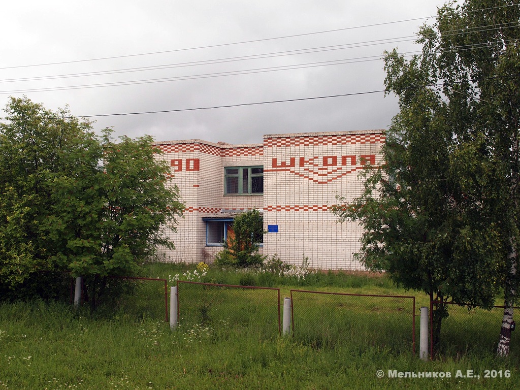 Большемурашкинский район, прочие н.п., с. Курлаково, Магистральная улица, 17