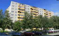 298 КБ