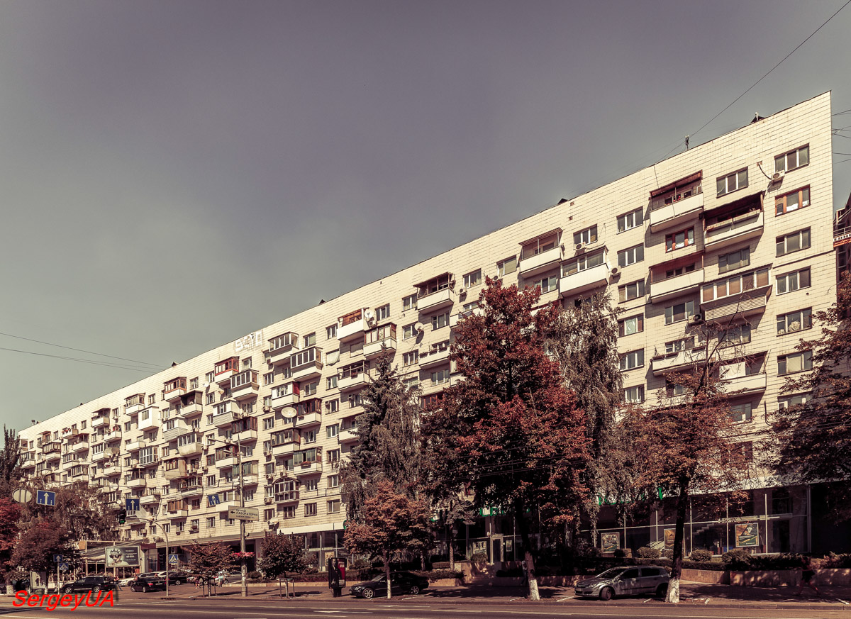 Киев, Большая Васильковская улица, 85-87