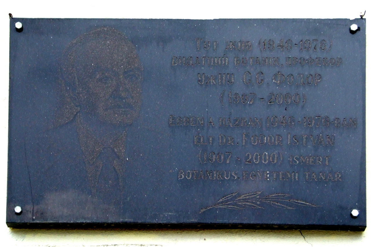 Uzgorod, Капитульная улица, 24 / Замковая улица, 11