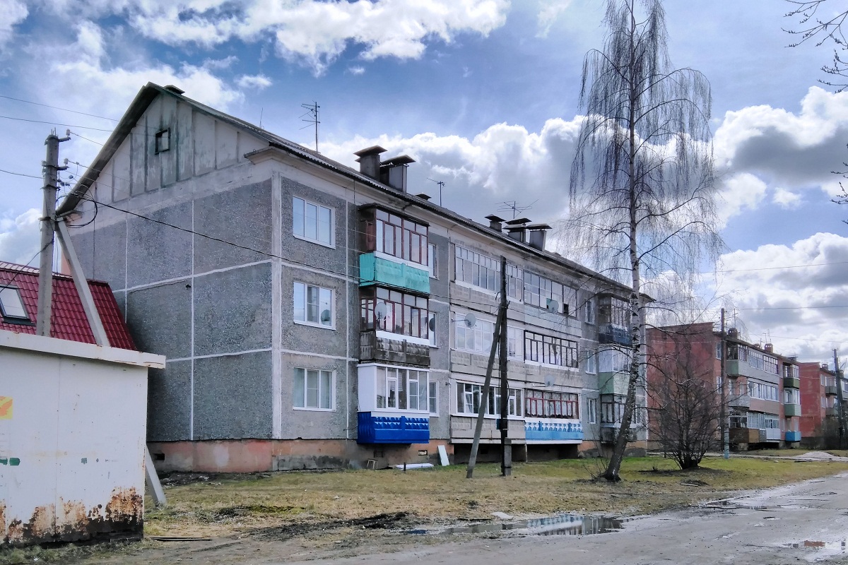 Гаврилов-Ямский район, прочие н.п., с. Шопша, улица Строителей, 7