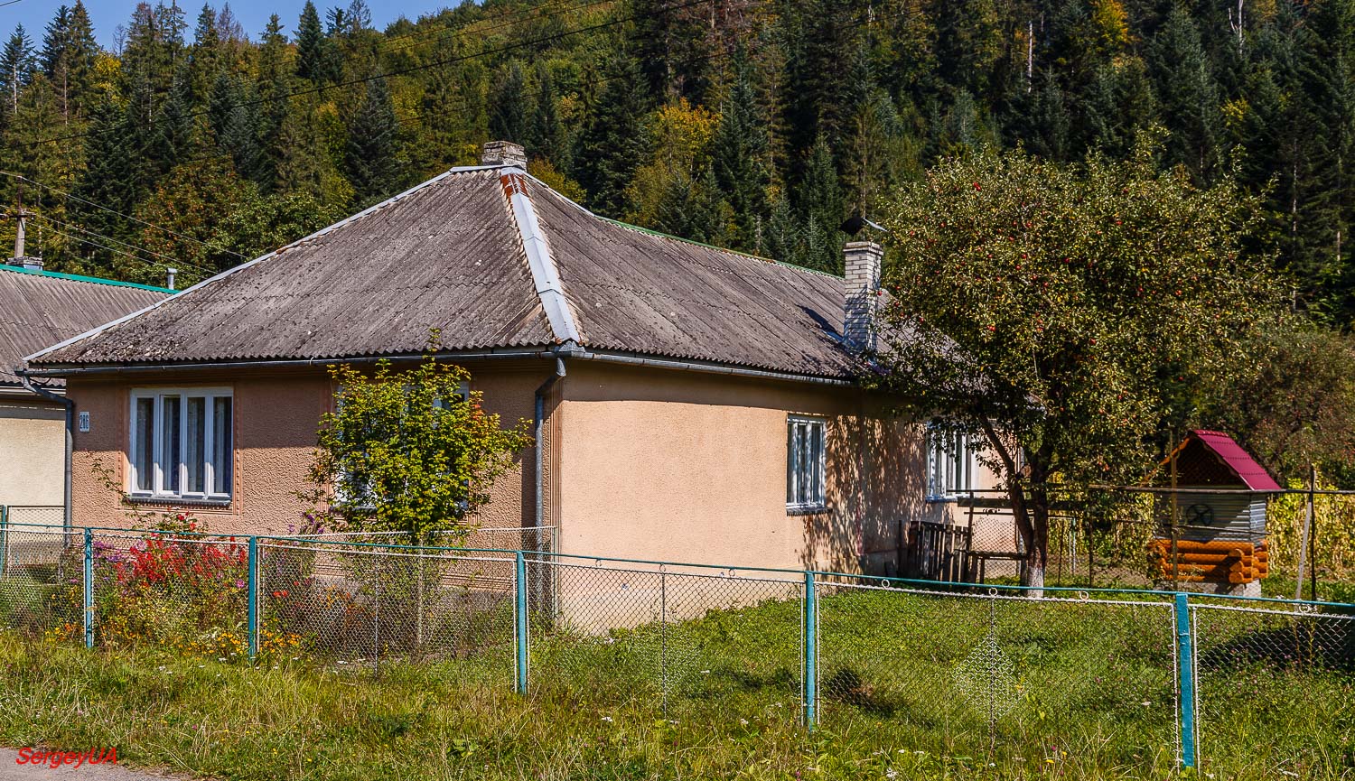 Ждениево, Улица Шевченко, 286