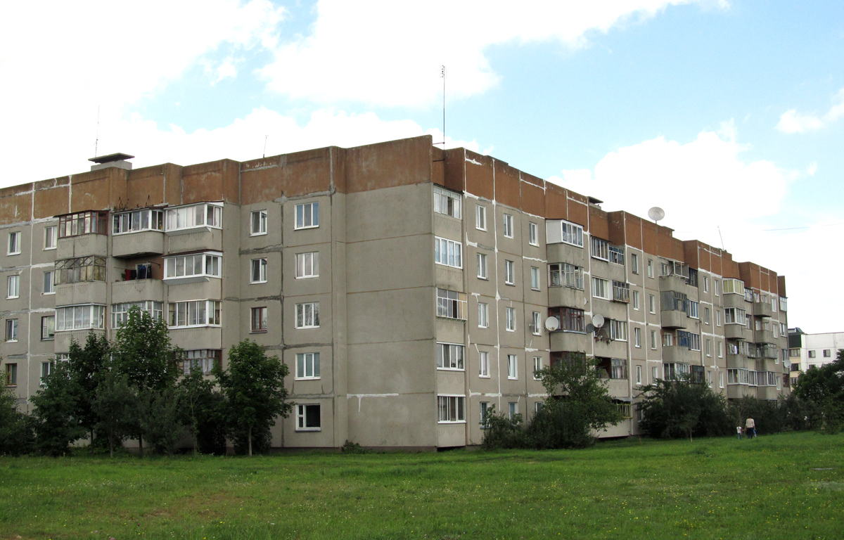 Дружный, Улица Шамановского, 55
