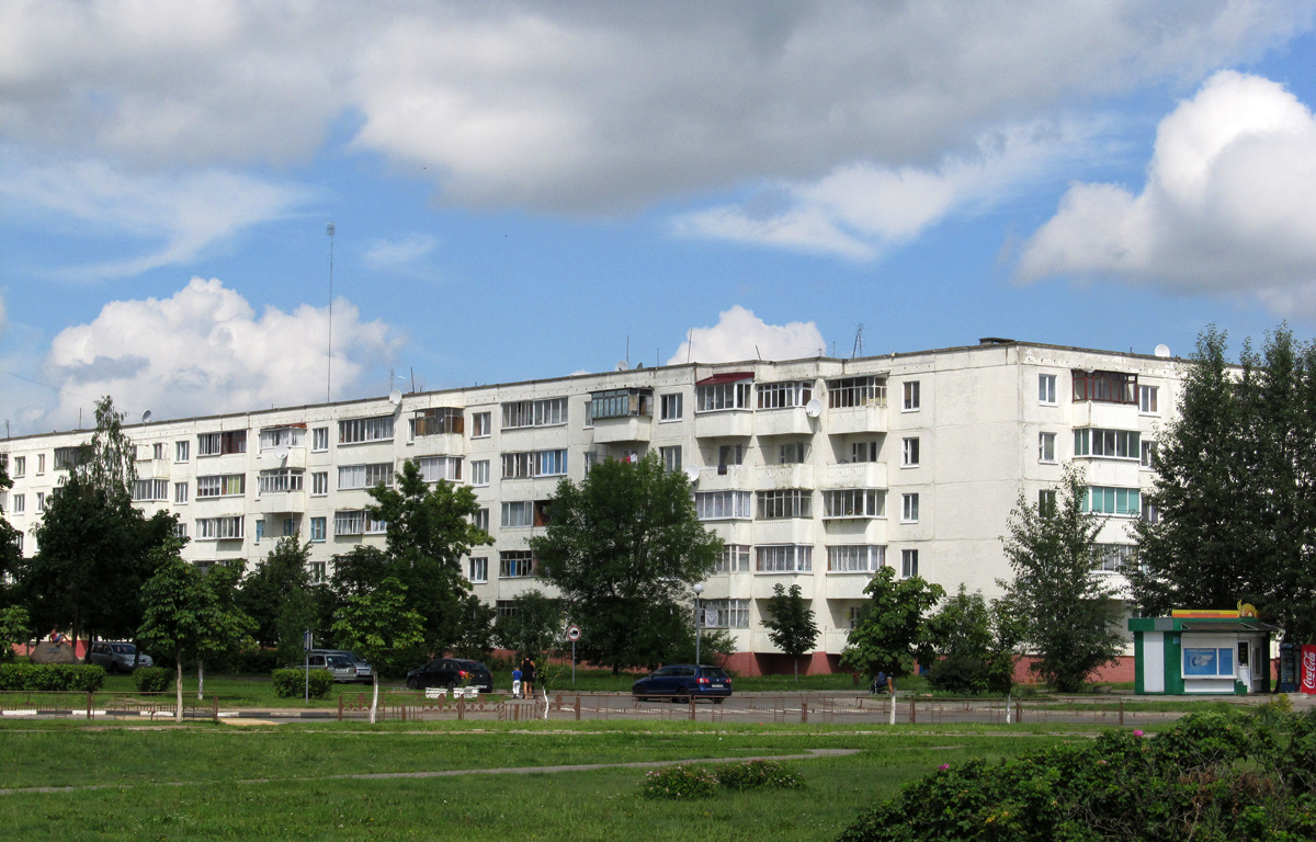 Дружный, Улица Чепика, 6