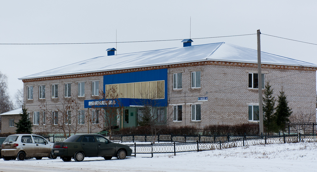 Благоварский район, прочие н.п., с. Языково, улица Ленина, 47