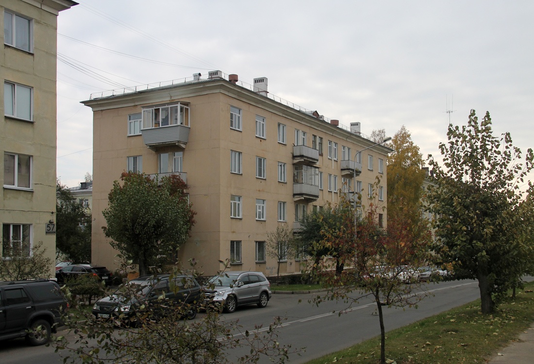 Железногорск, Школьная улица, 55
