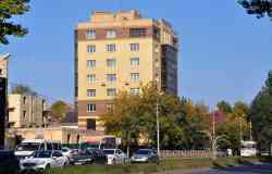 491 КБ