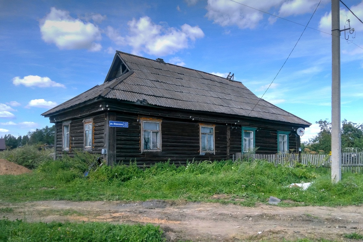 Переславский район, прочие н.п., с. Новоселье, улица Моисеева, 22