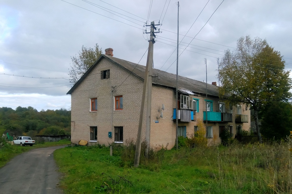 Переславский район, прочие н.п., с. Новоселье, улица Моисеева, 9