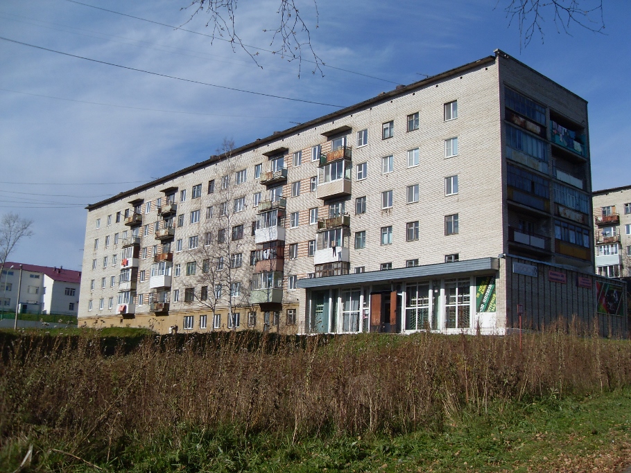 Советская Гавань, Пионерская улица, 26