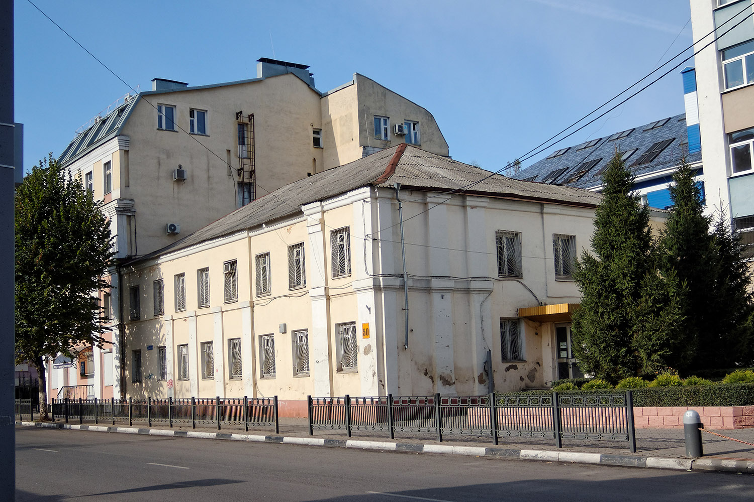 Воронеж, Никитинская улица, 50