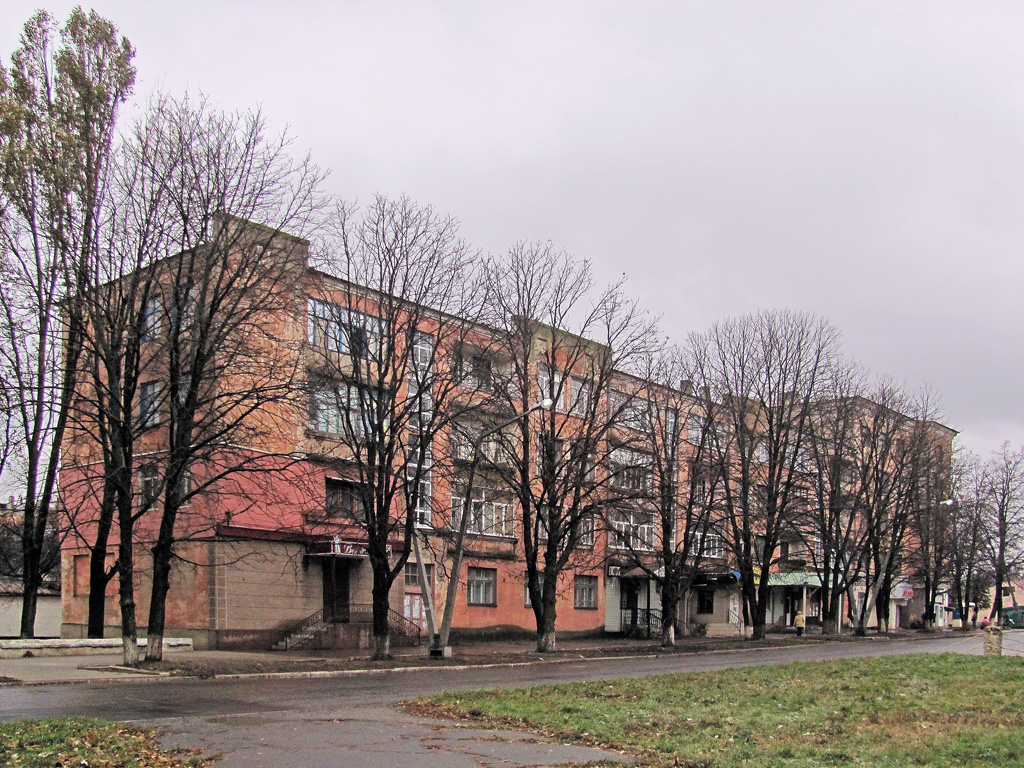 Попасная, Улица Мира, 138