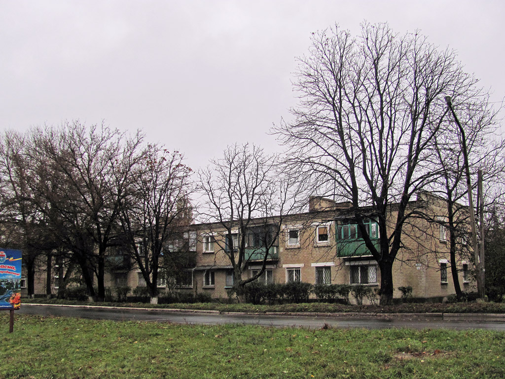 Попасная, Улица Мира, 152