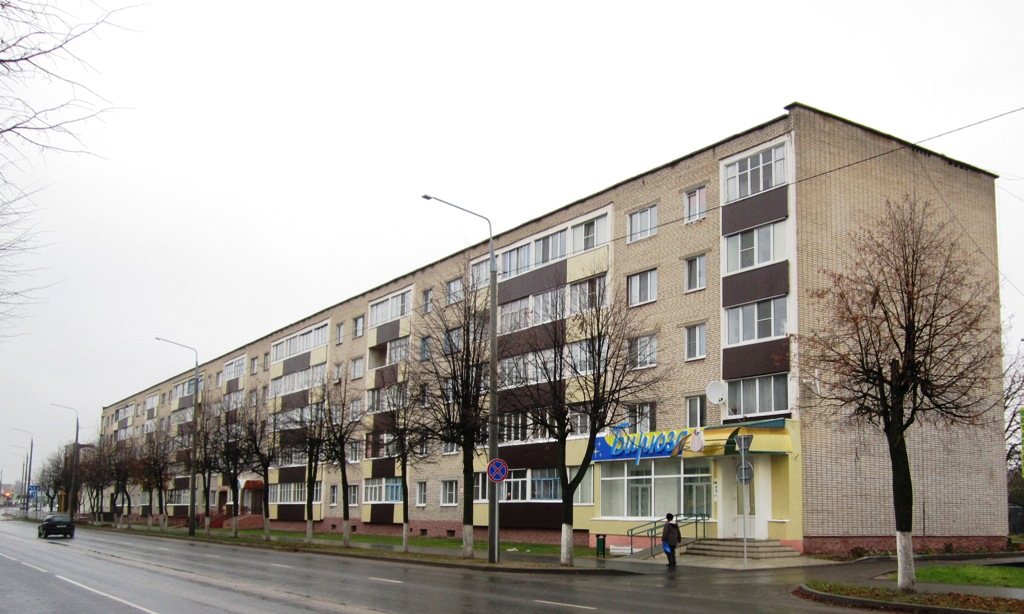 Рогачёв, Улица Ленина, 67