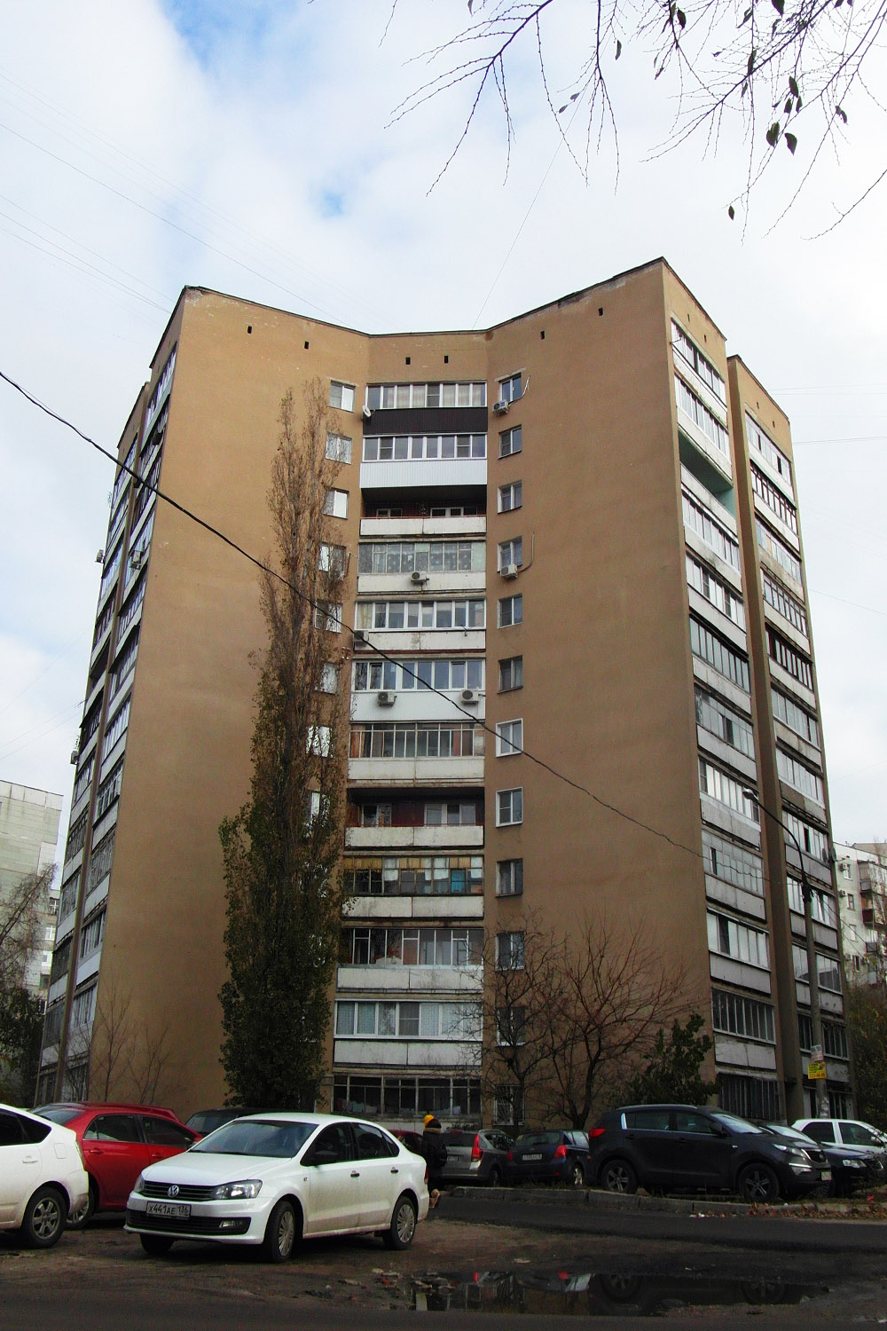 Воронеж, Улица Старых Большевиков, 90