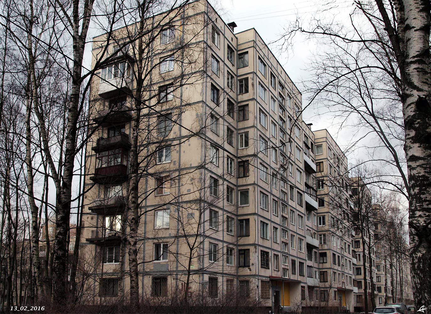 Санкт-Пецярбург, Улица Вавиловых, 11 корп. 6
