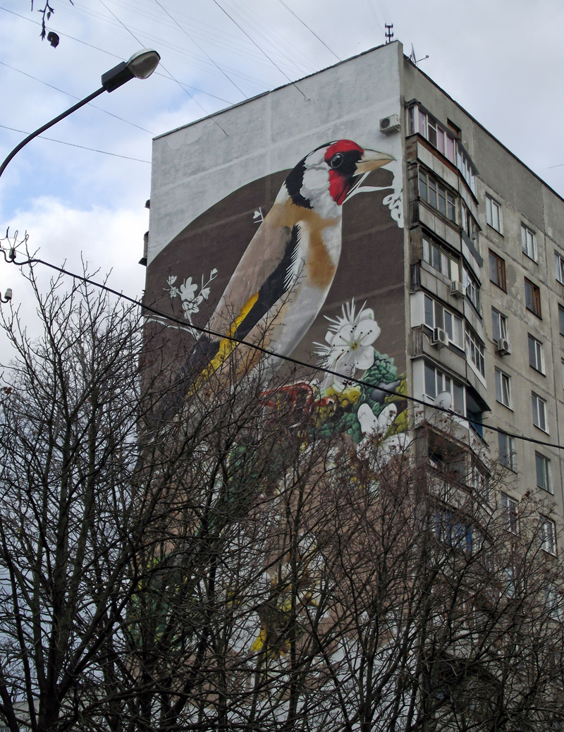 Харьков, Улица Библика, 1Б