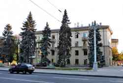 393 КБ