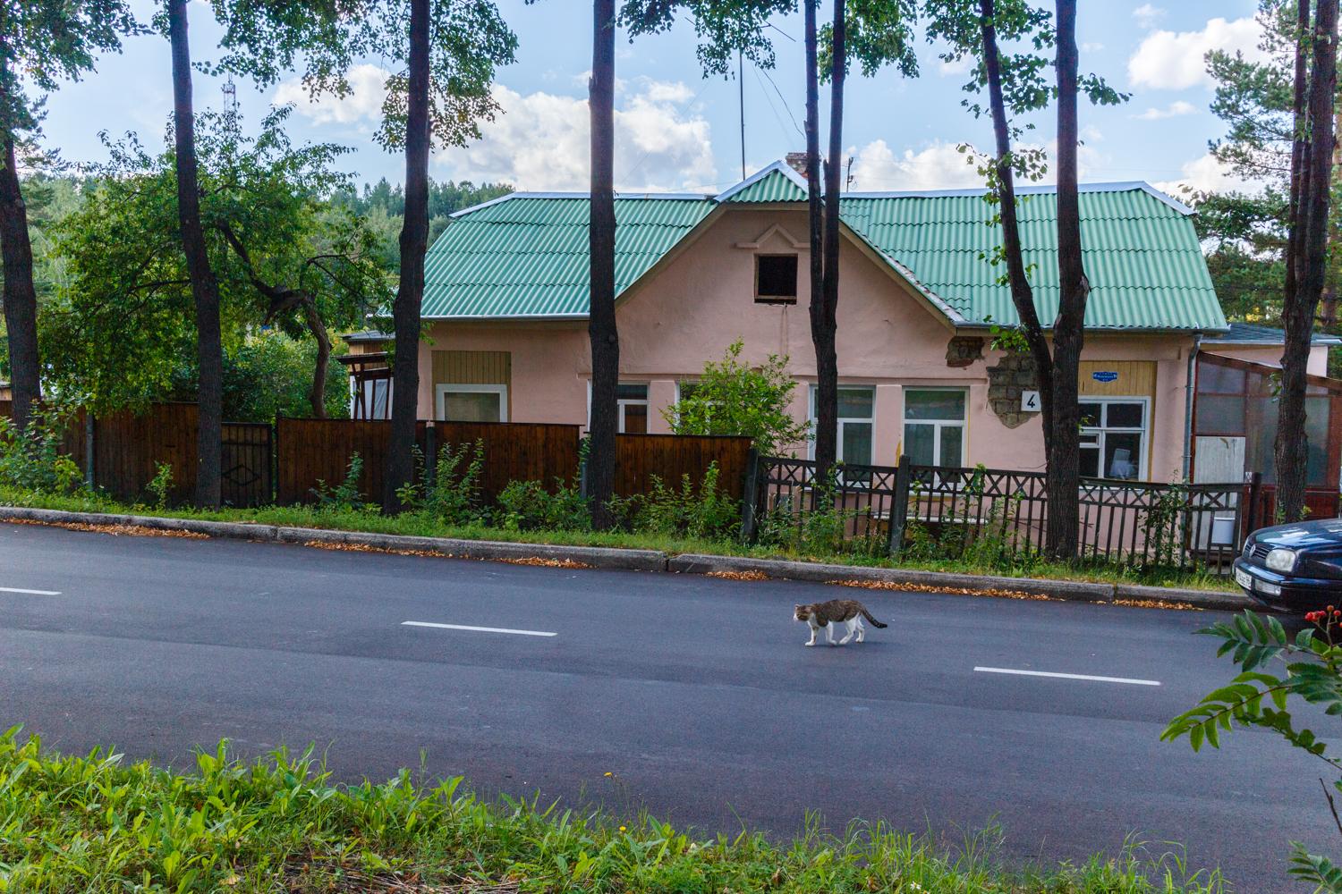 Новоуральск, Улица Маяковского, 4