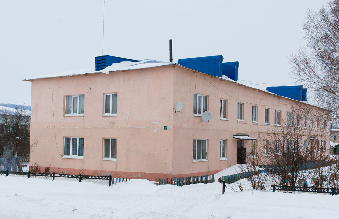 Благоварский район, прочие н.п., с. Языково, улица Мира, 25