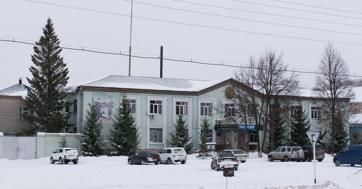 Благоварский район, прочие н.п., с. Языково, улица Ленина, 81