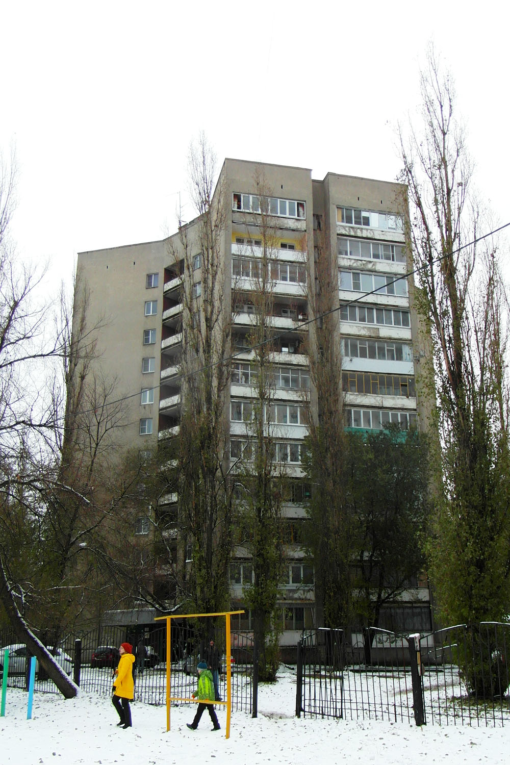 Воронеж, Улица Старых Большевиков, 96