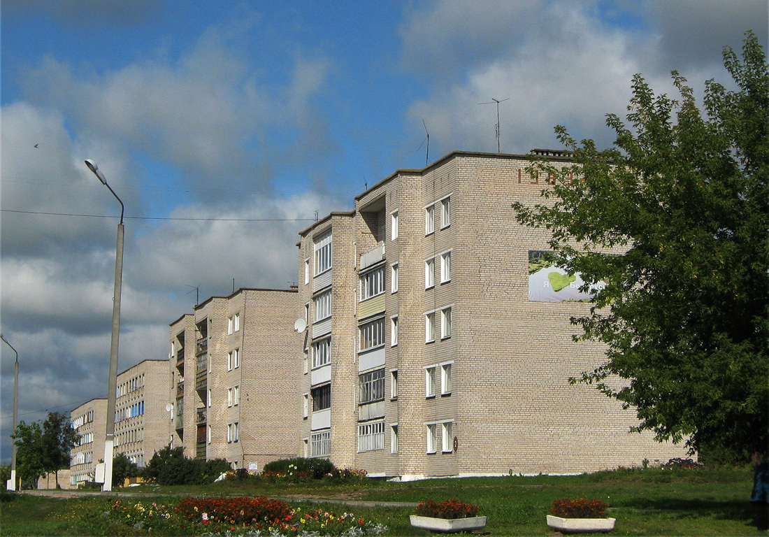 Крупки, Полевая улица, 2
