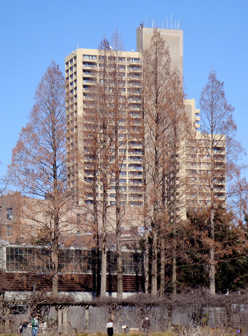 Нью-Йорк, Crown Street, 49