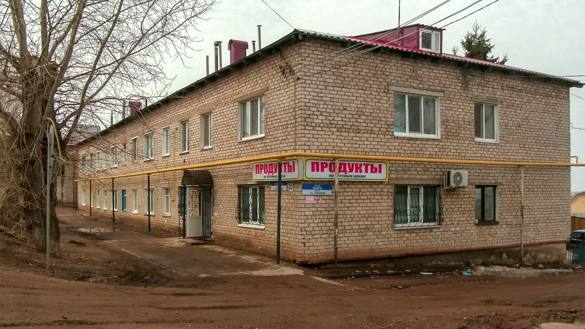 Бирск, Улица Чеверева, 39