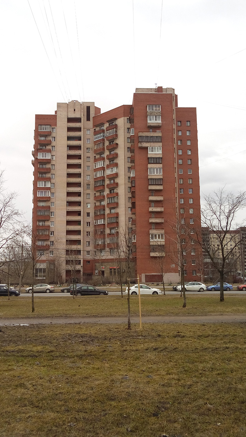 Petersburg, Прибрежная улица, 2 / Рыбацкий проспект, 41