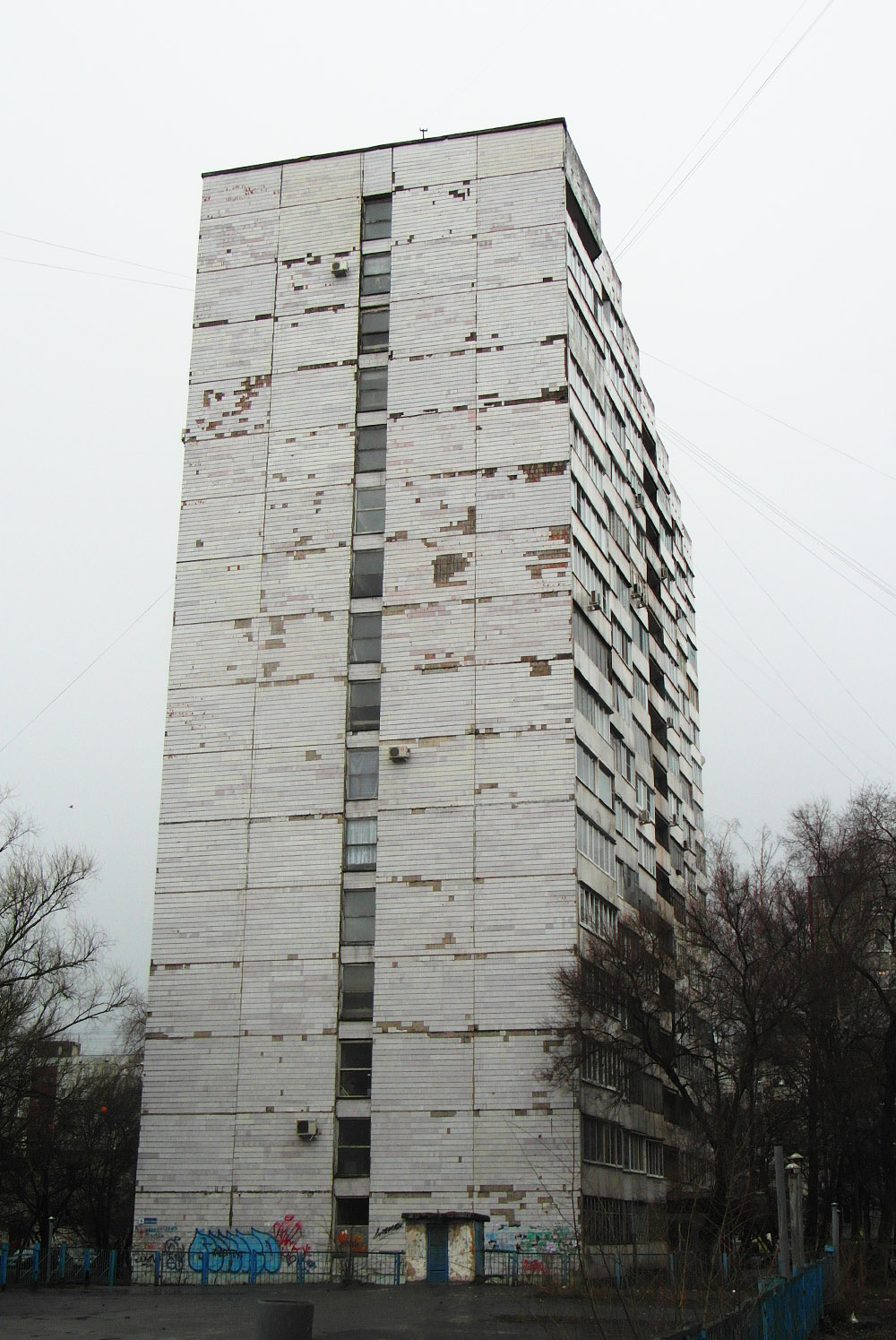 Воронеж, Улица Генерала Лизюкова, 6