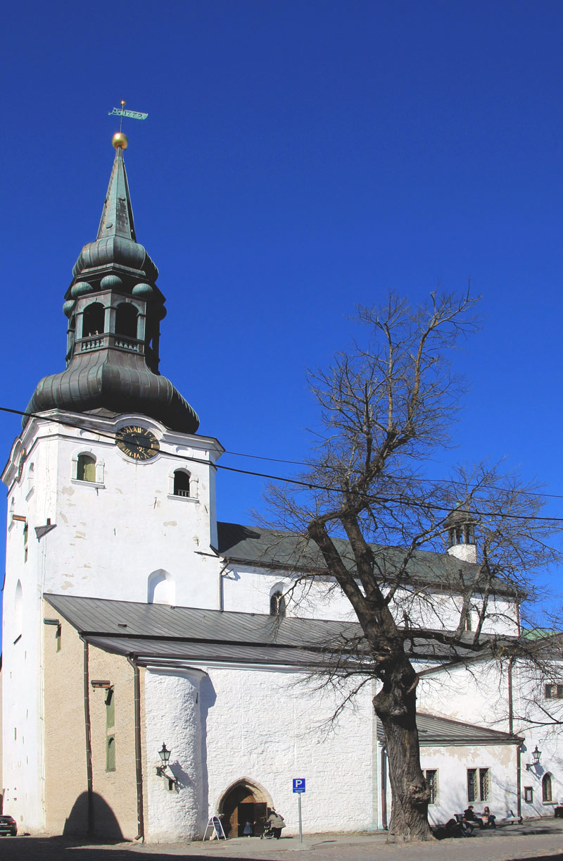 Таллин, Toom-Kooli, 6