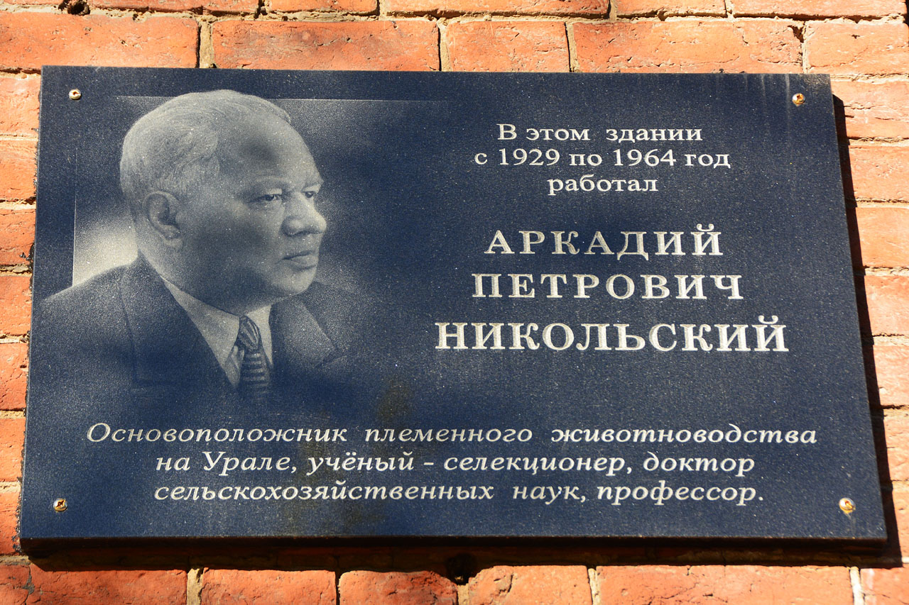 Perm, петропавловская улица, 23 / Улица 25 Октября, 10