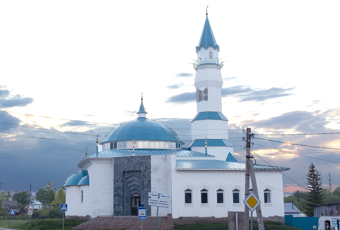 Благоварский район, прочие н.п., с. Языково, улица Пушкина, 10