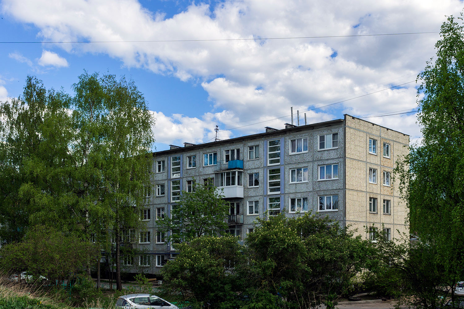 Великий Новгород, Улица Черняховского, 100