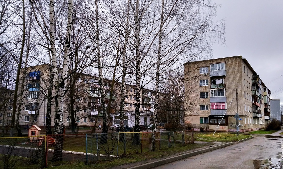 Переславль-Залесский, Улица Менделеева, 48; Улица Менделеева, 50