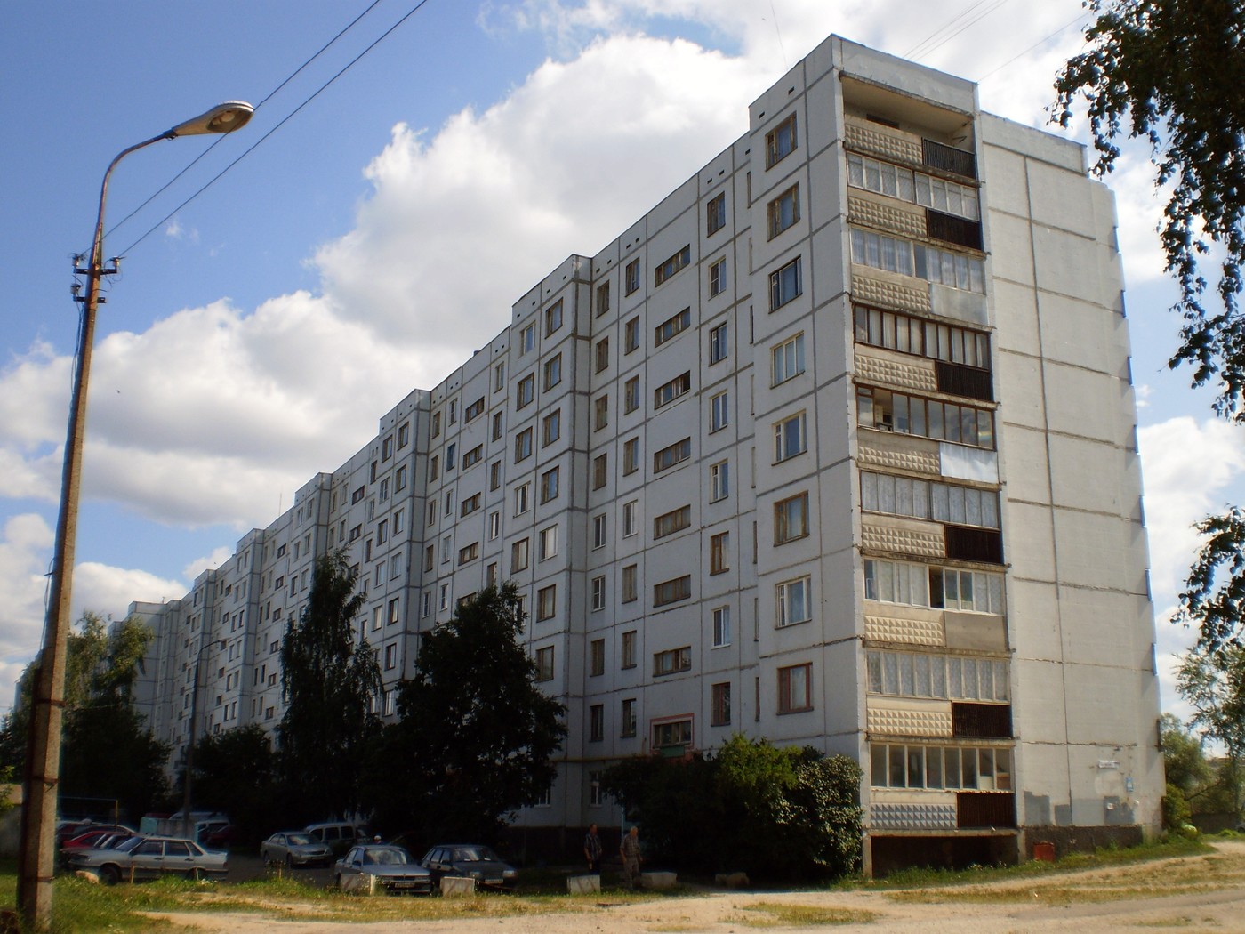Псков, Рижский проспект, 65
