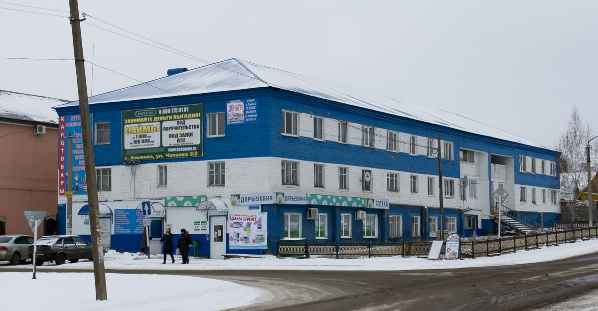Благоварский район, прочие н.п., с. Языково, улица Пушкина, 20