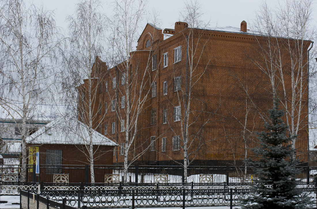 Благоварский район, прочие н.п., с. Языково, улица Пушкина, 15/1; с. Языково, улица Пушкина, 17А