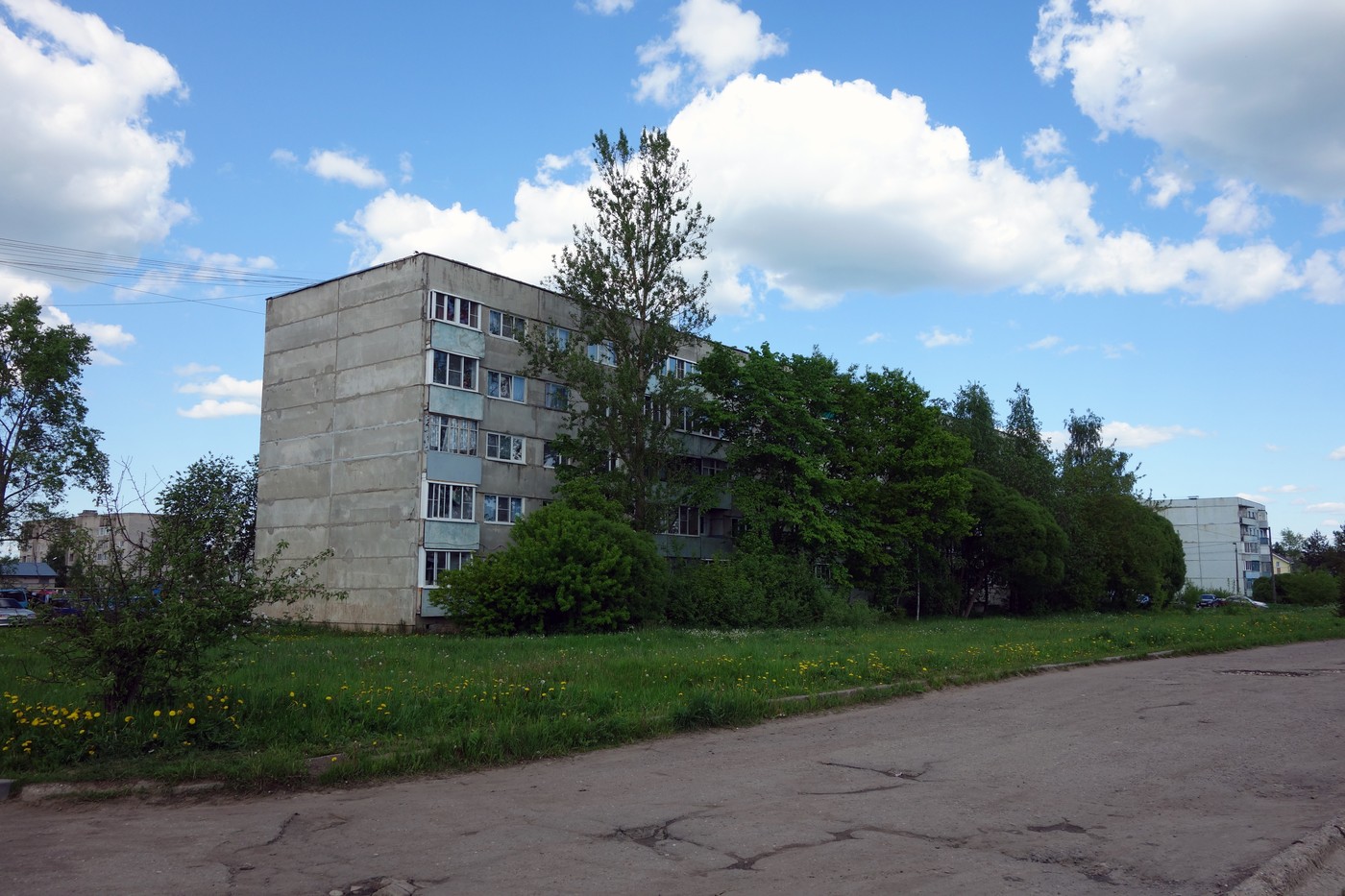 Чудово, Улица Дружбы, 4