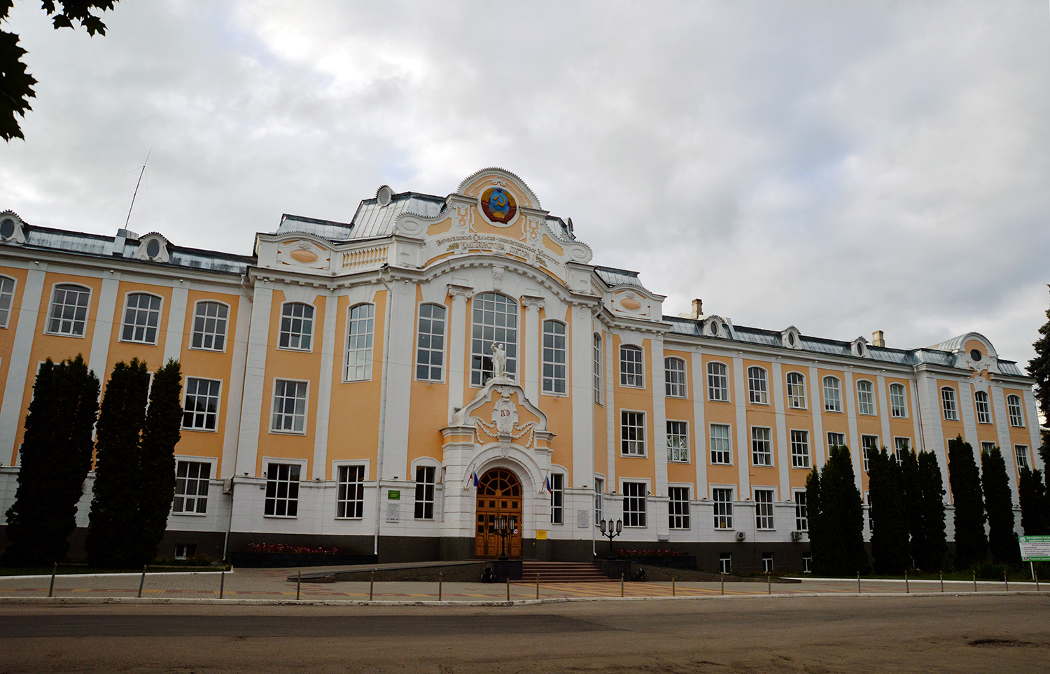 Воронеж, Улица Мичурина, 1