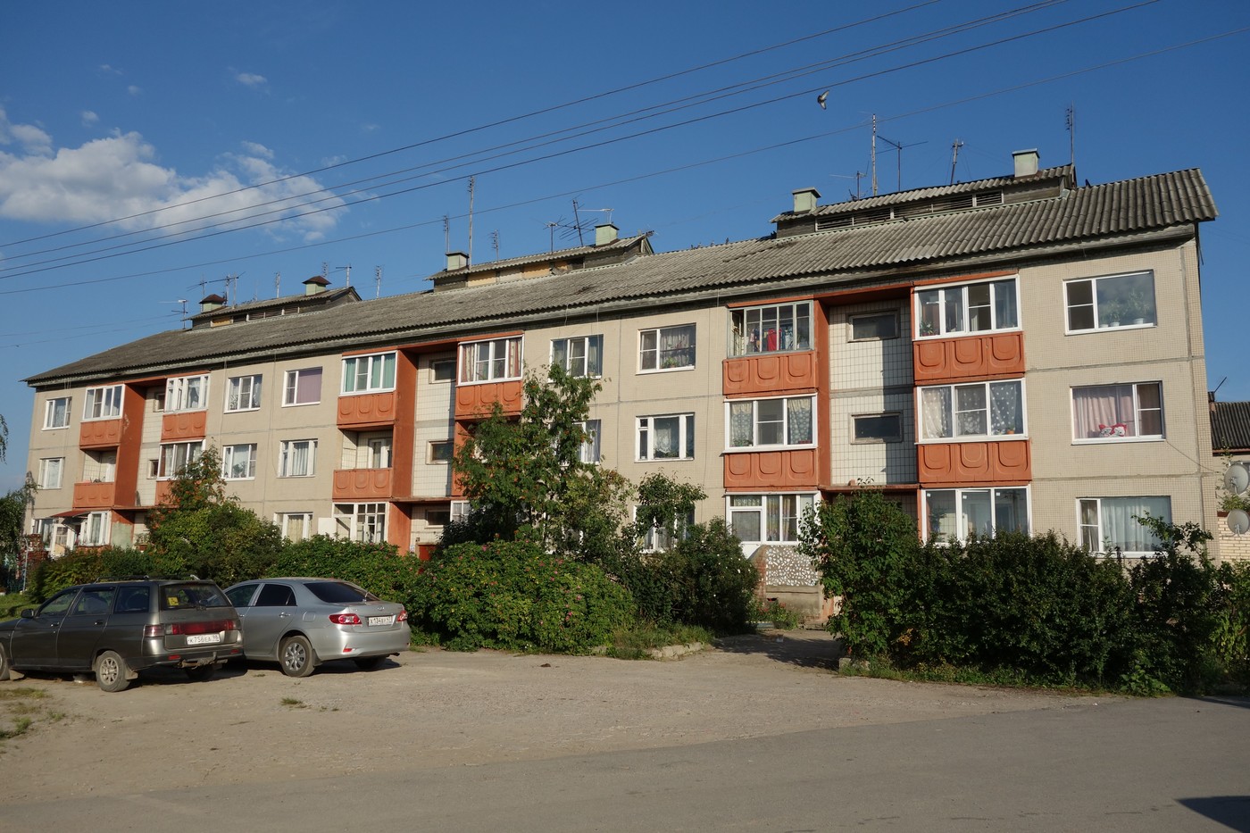 Тосненский район, прочие н. п., Трубников Бор, улица Мира, 1