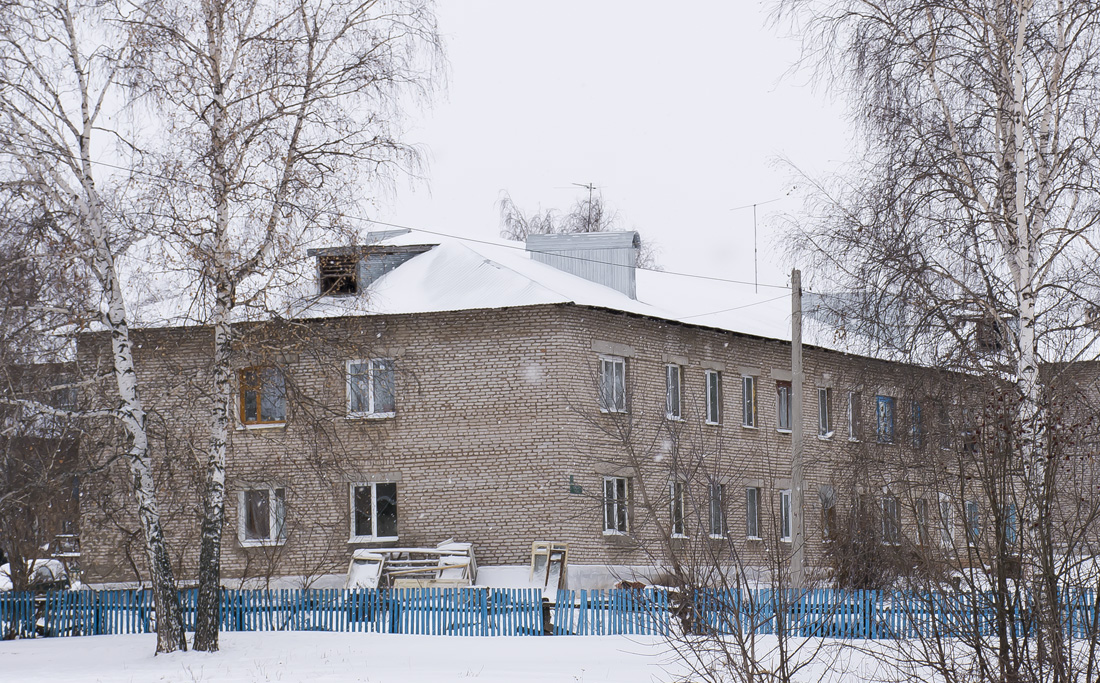 Благоварский район, прочие н.п., с. Языково, улица Ленина, 73