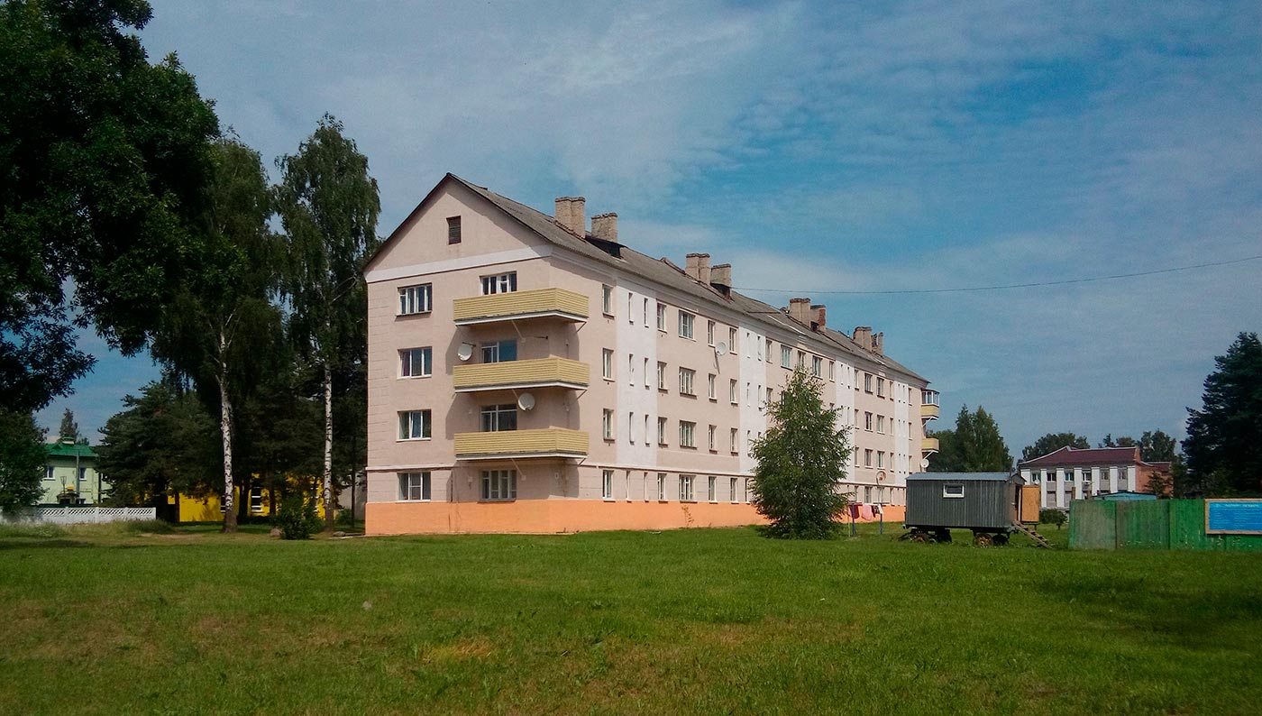 Новополоцк, Боровуха, Армейская улица, 8