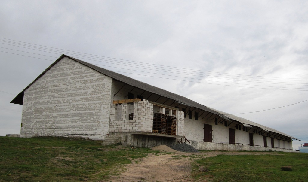 Рогачёв, Улица Виссариона Белинского, 11*