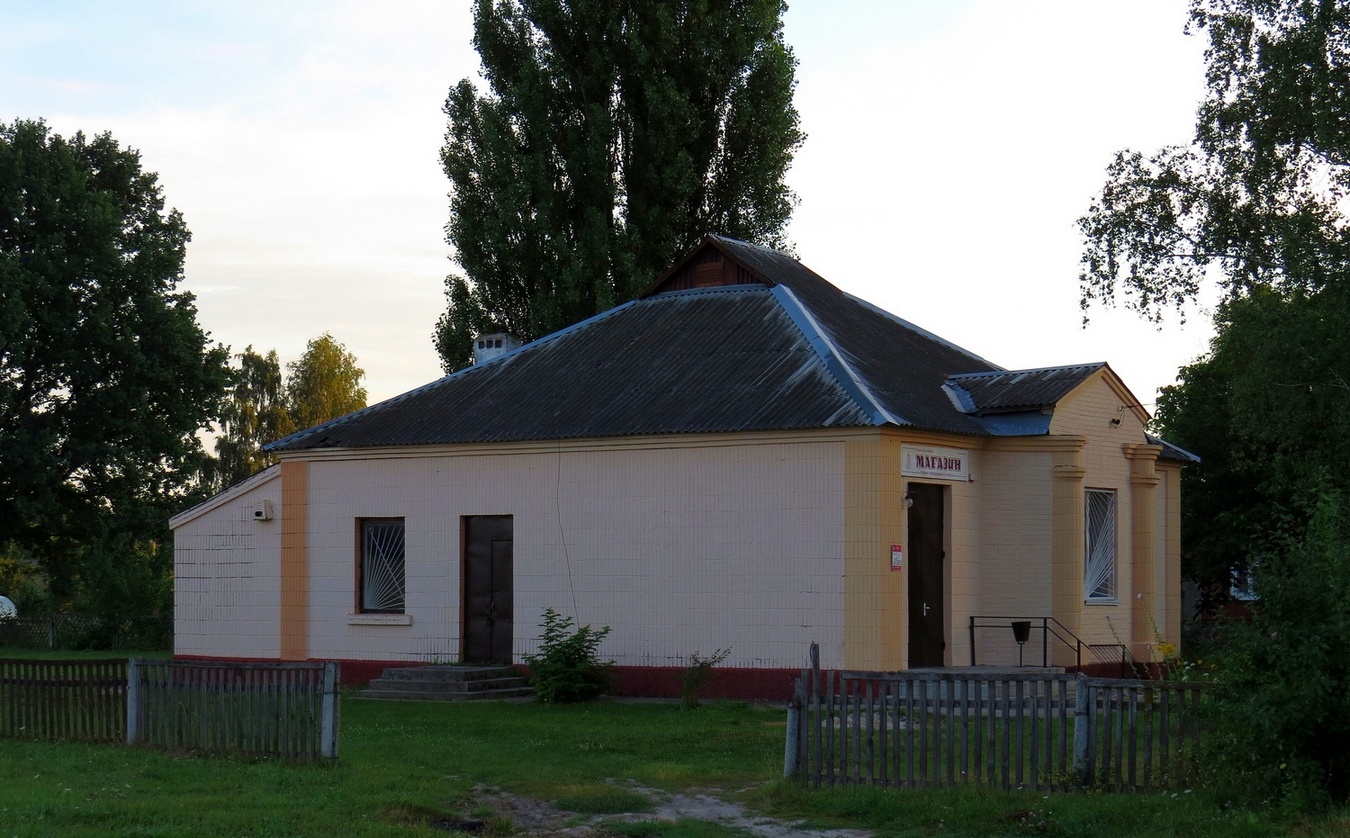 Кобринский район, прочие н.п., Магдалин, Центральная улица, 32