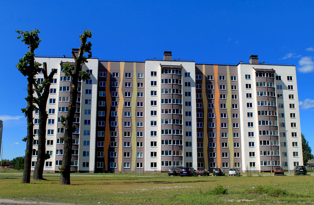 Пинск, Брестская улица, 142в